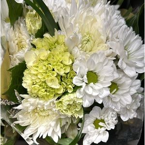 Meet your Posher, Christine